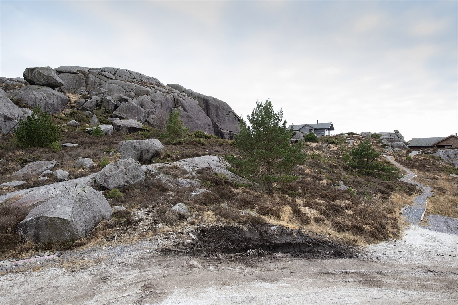 Tomt nr. 47 i forgrunn Galleribilde