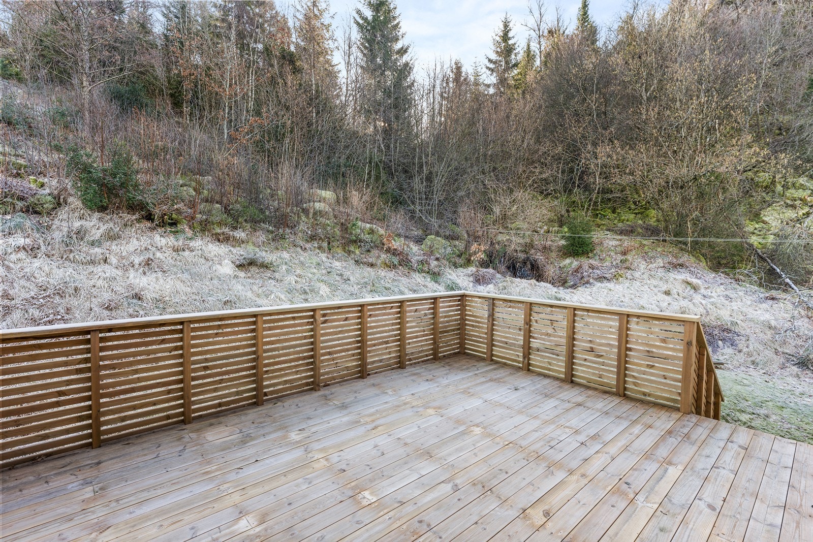 Eiendommen grenser til friområde bak. Her er noe hage/ plen som medfølger eiendommen Galleribilde