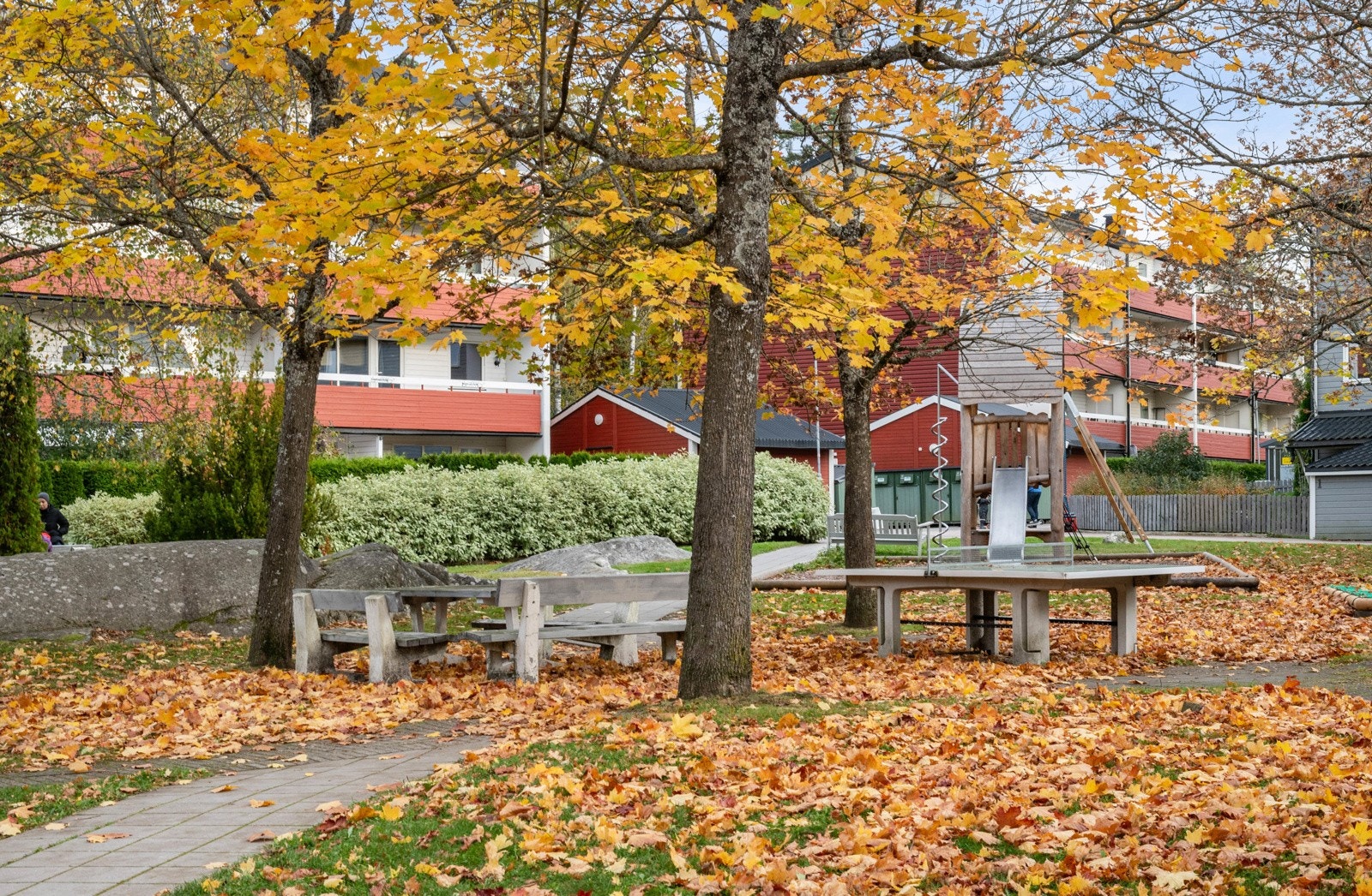 Fellesareal. Galleribilde