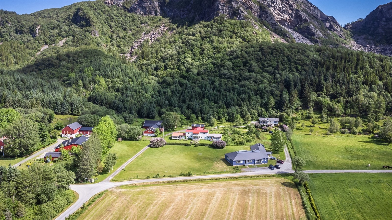Velkommen til visning! Galleribilde