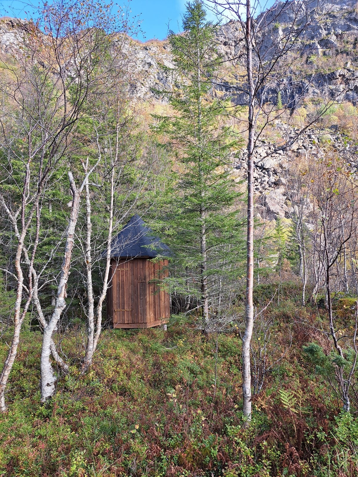 Selgers private bilder Galleribilde