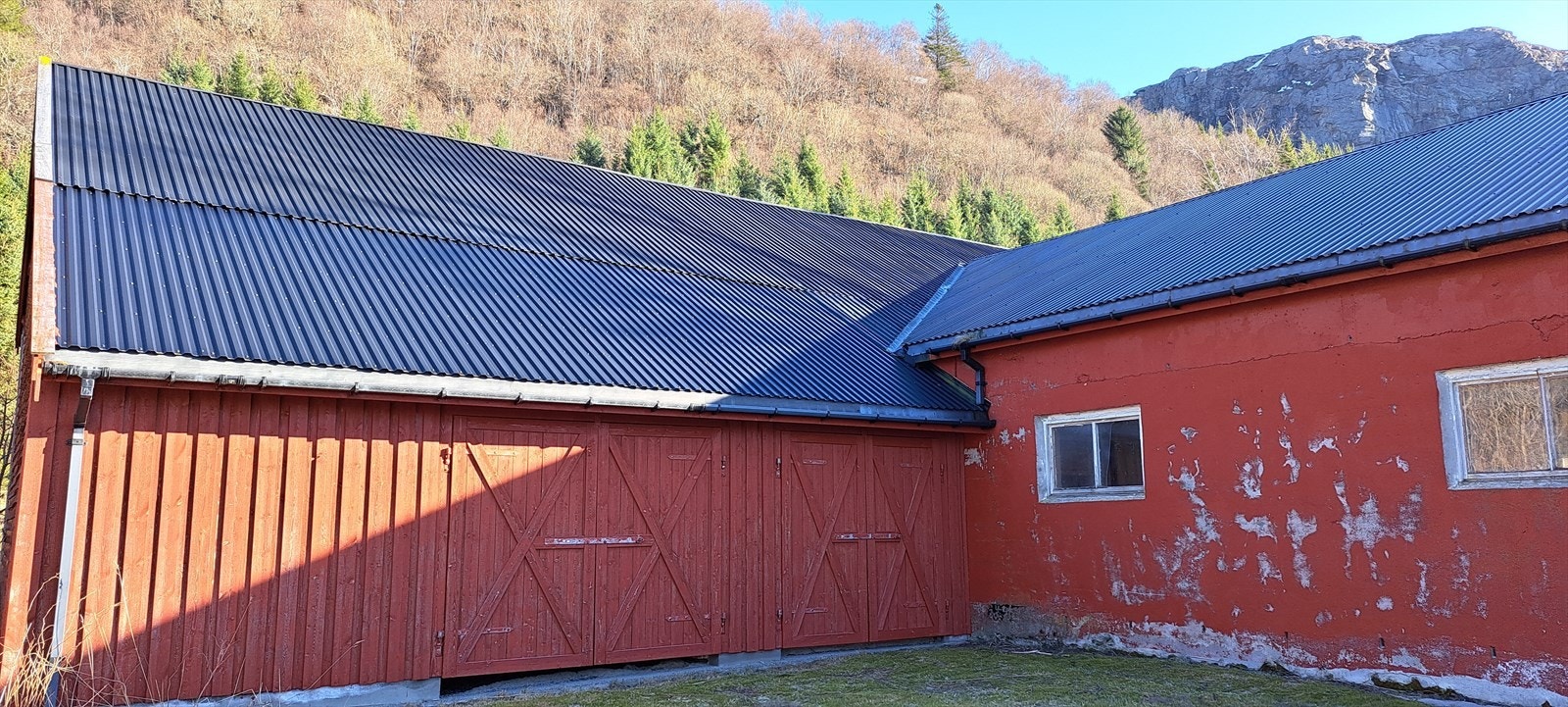 Selgers private bilder Galleribilde
