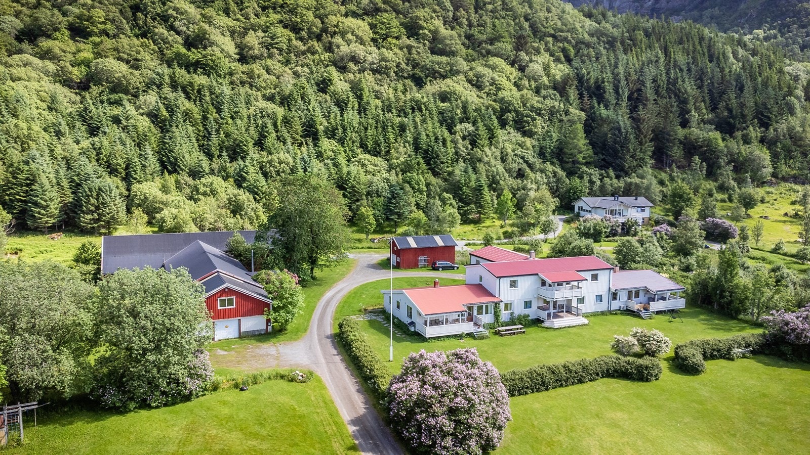 Tomten grenser mot skogholt, og rammes pent og naturlig inn av de høye, tettvokste trærne. Galleribilde