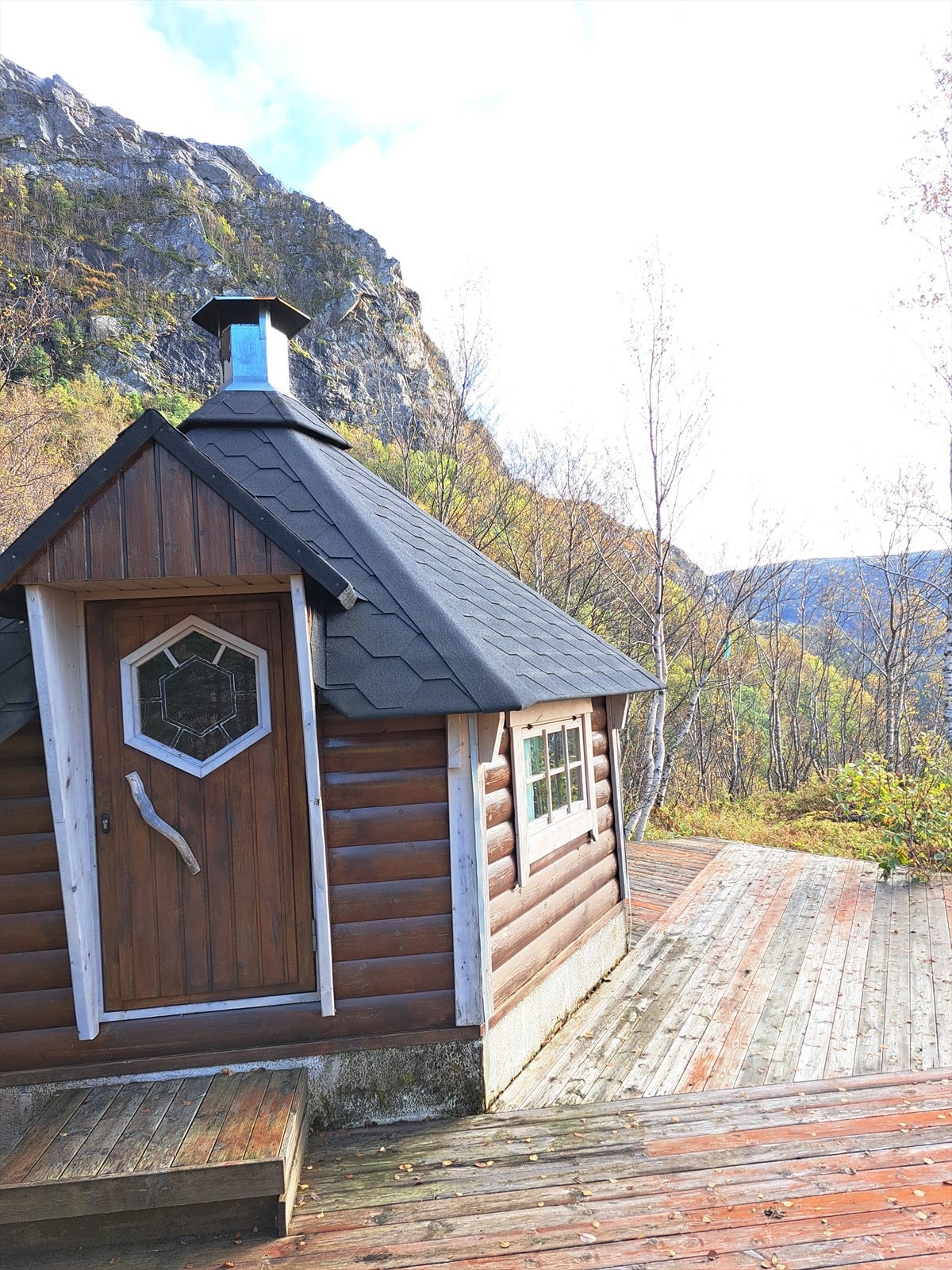 Selgers private bilder Galleribilde