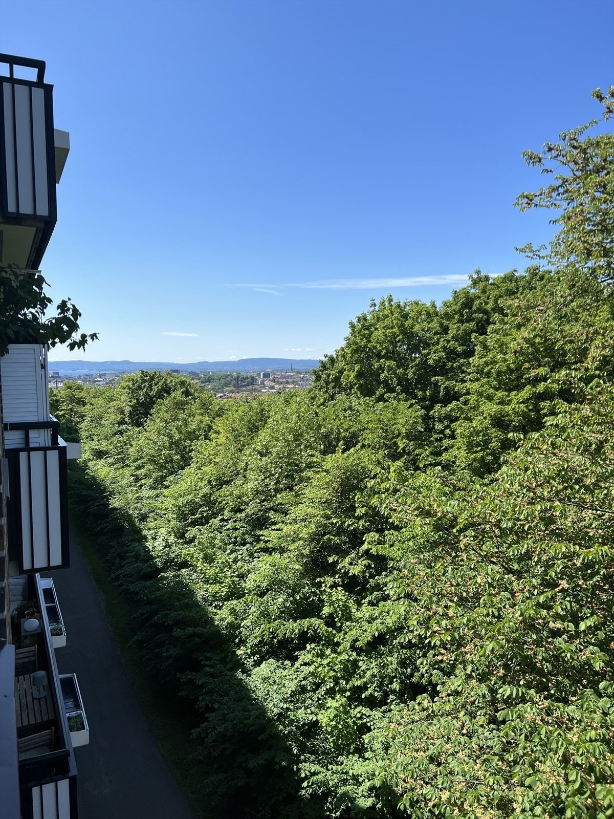 Selgers egne bilder. Galleribilde