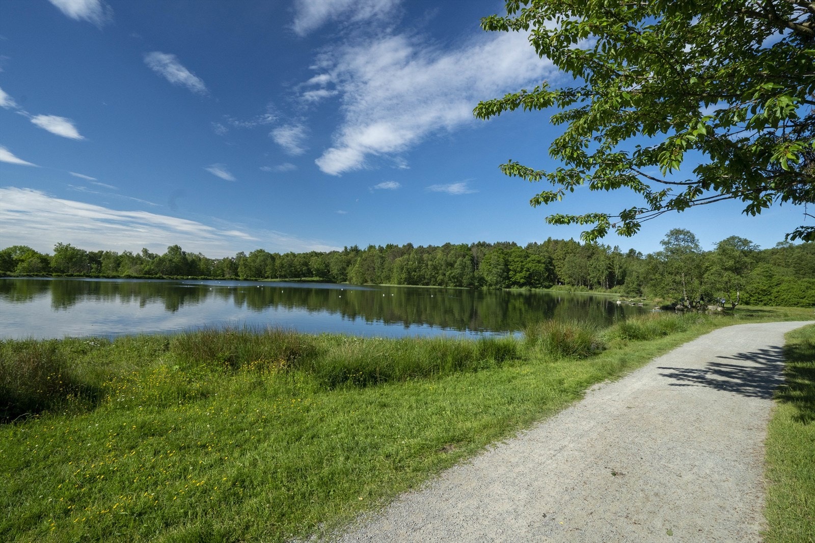 Vannassen Galleribilde