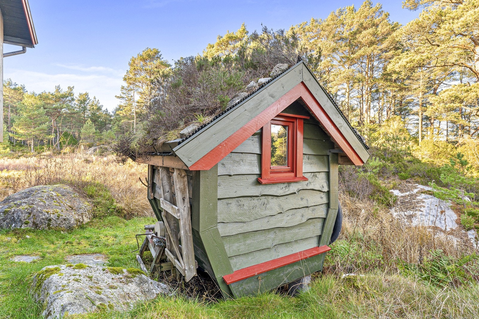 Bod i hage. Galleribilde