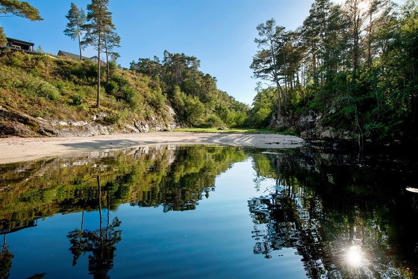 wngetbilde6EMHSM3W Galleribilde