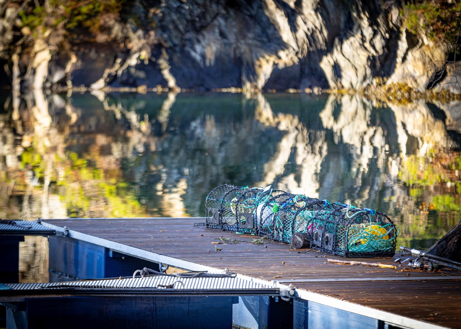 Frister det med en tegne i sjøen? Galleribilde