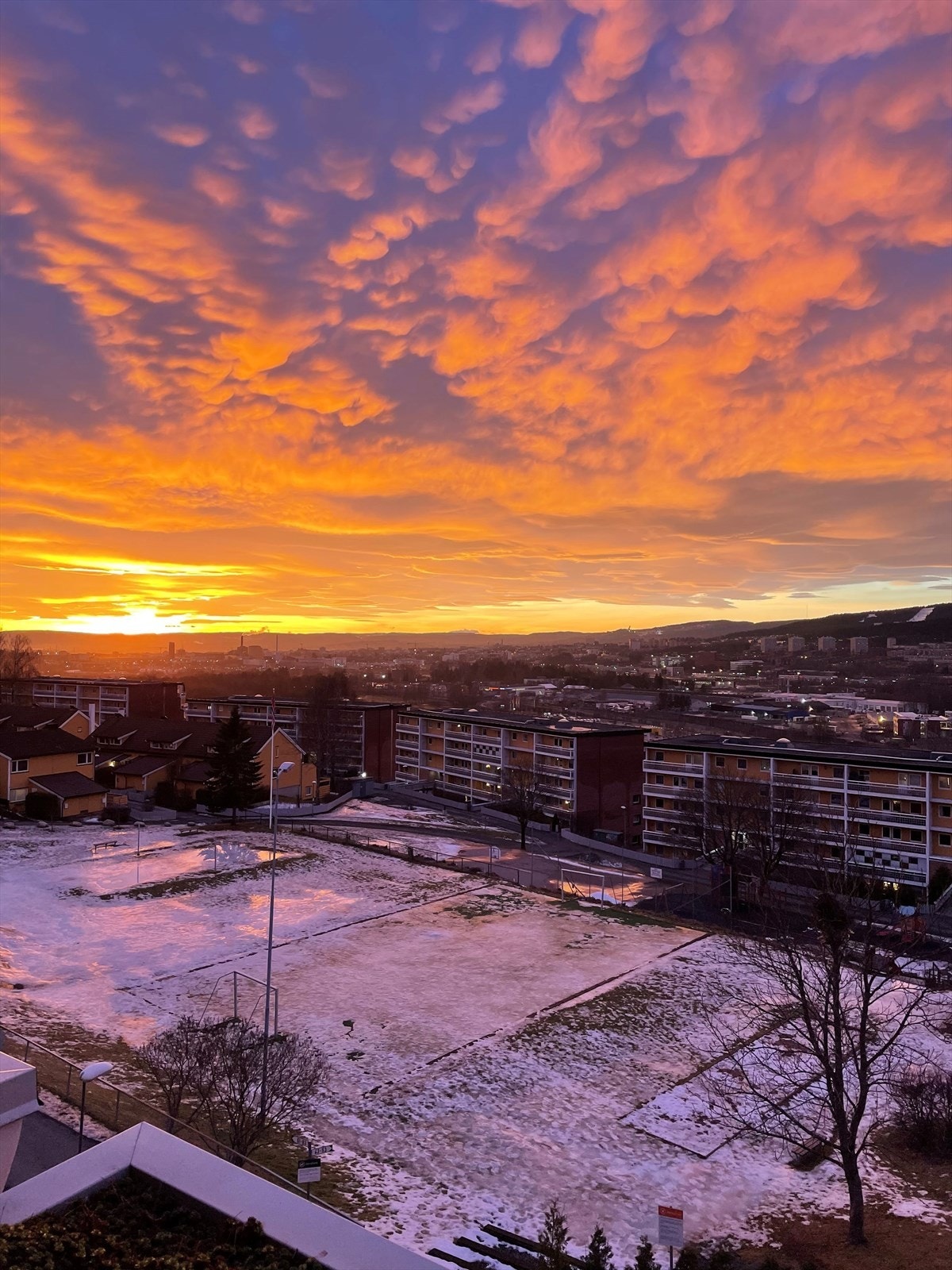 Bilde fra selger. Galleribilde