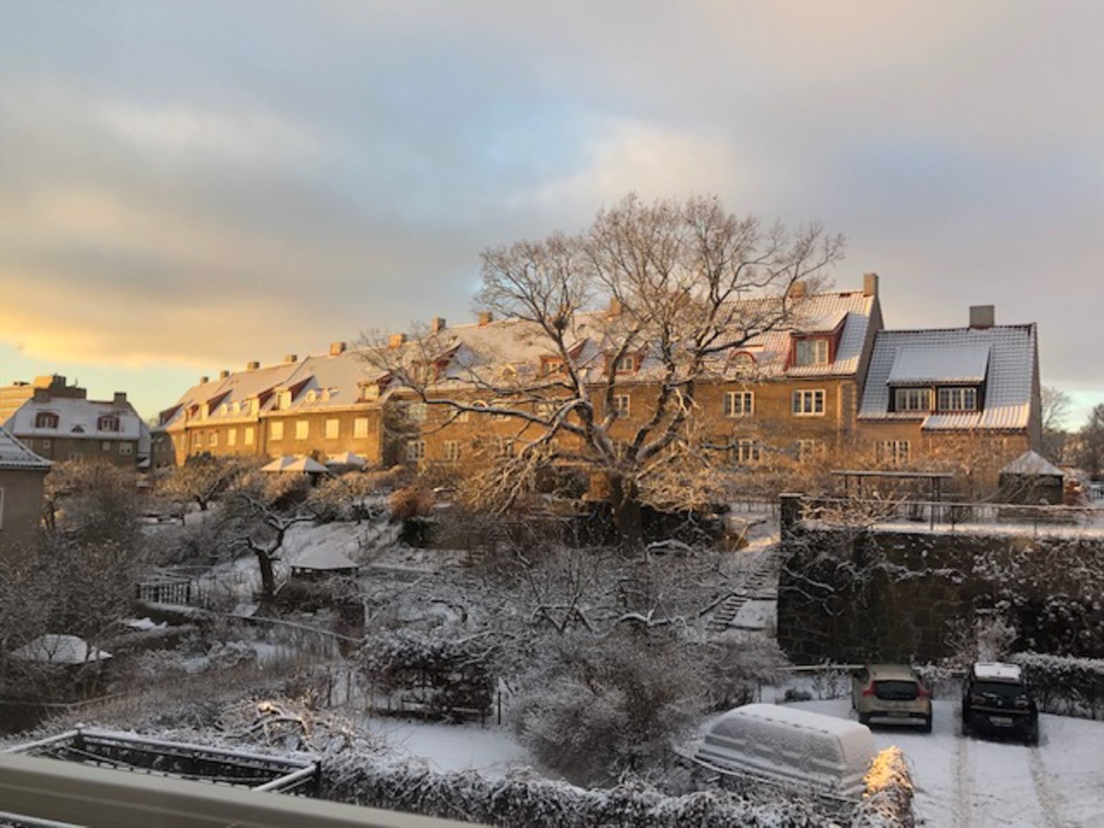 Selgers eget bilde | Vinteridyll. Galleribilde