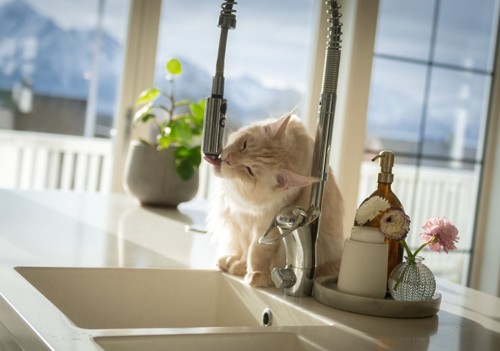 Stemningsbilde kjøkken Galleribilde