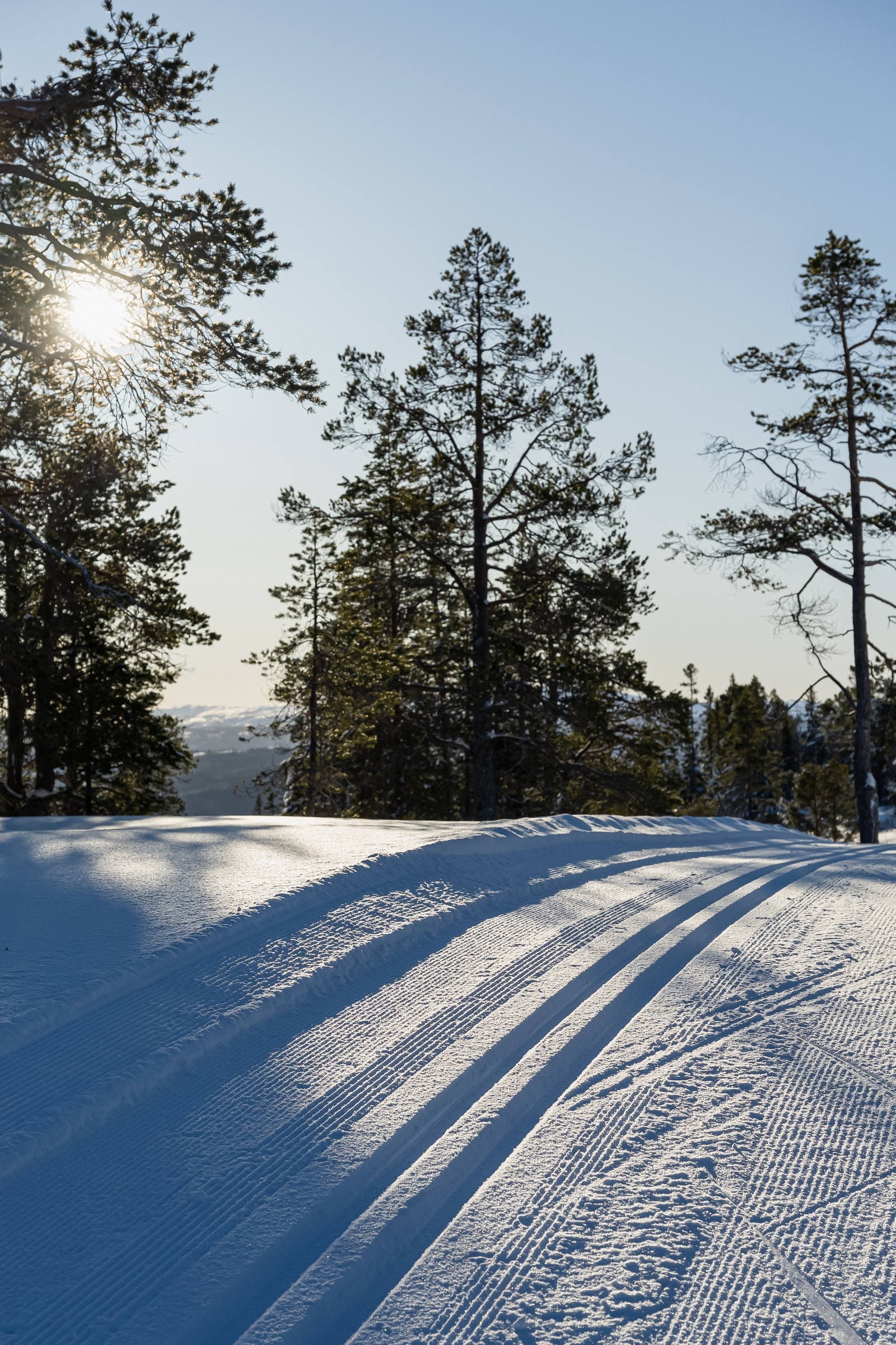 Tomta ligger på en privat kolle hvor skiløypa svinger seg ned rundt kollen. Ski in - ski out! Galleribilde