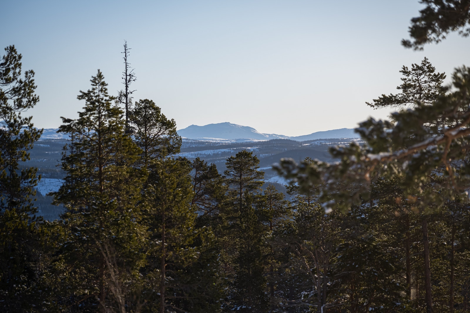 Fantastisk utsikt rett mot Fongen Galleribilde
