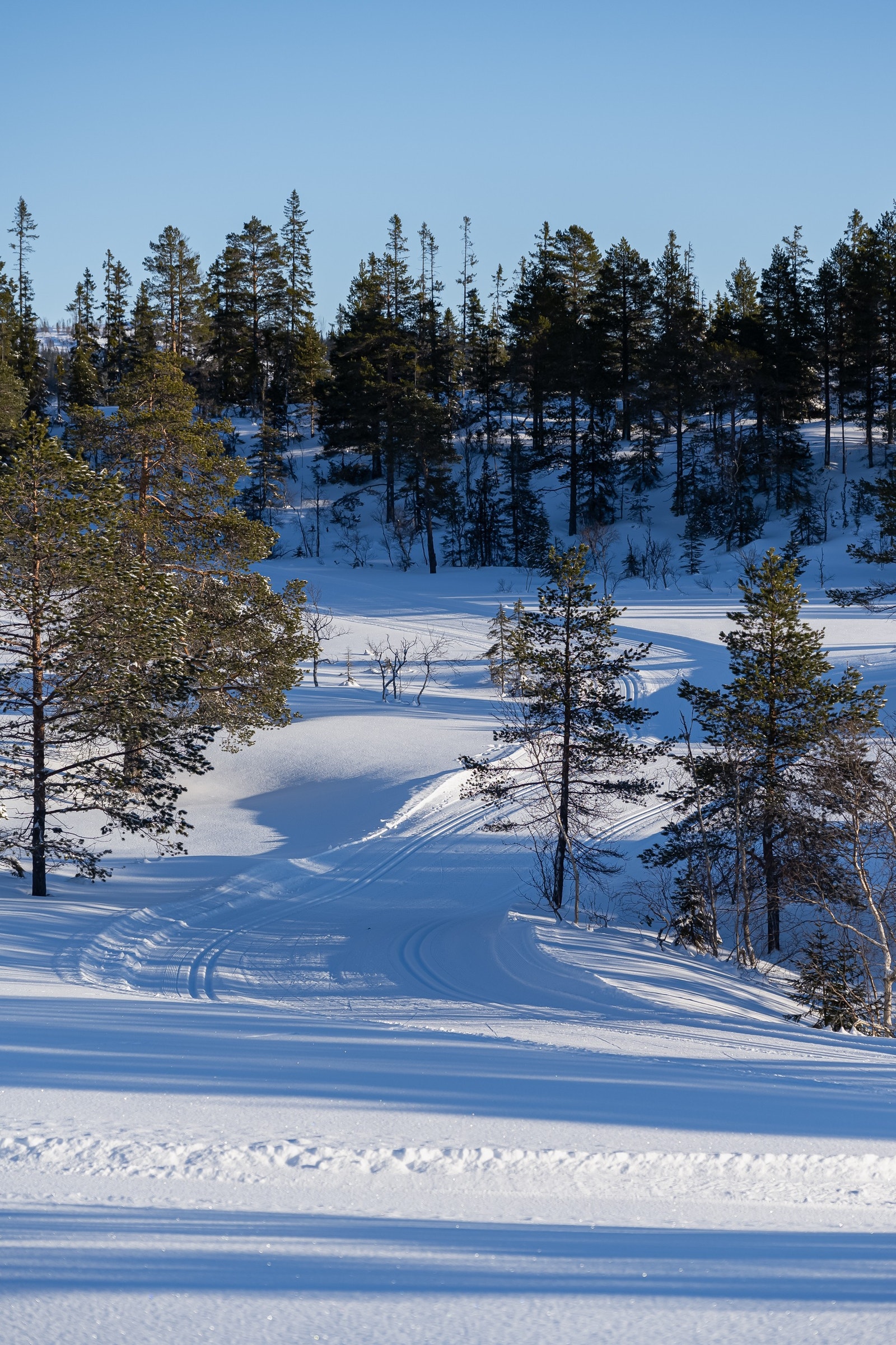 Nydelige skispor som går gjennom hyttefeltet og rett utenfor døra Galleribilde