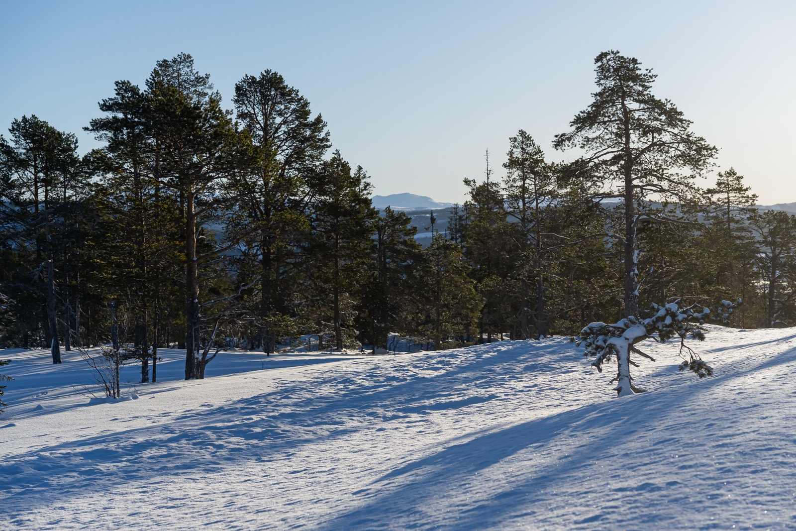 Fongen i utsiktsbildet sørover fra tomta Galleribilde