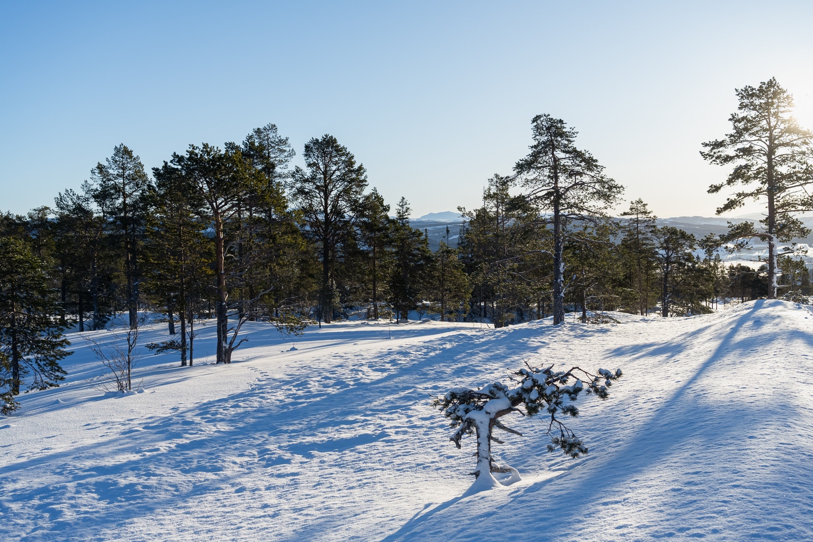 Svært gode snøforhold Galleribilde