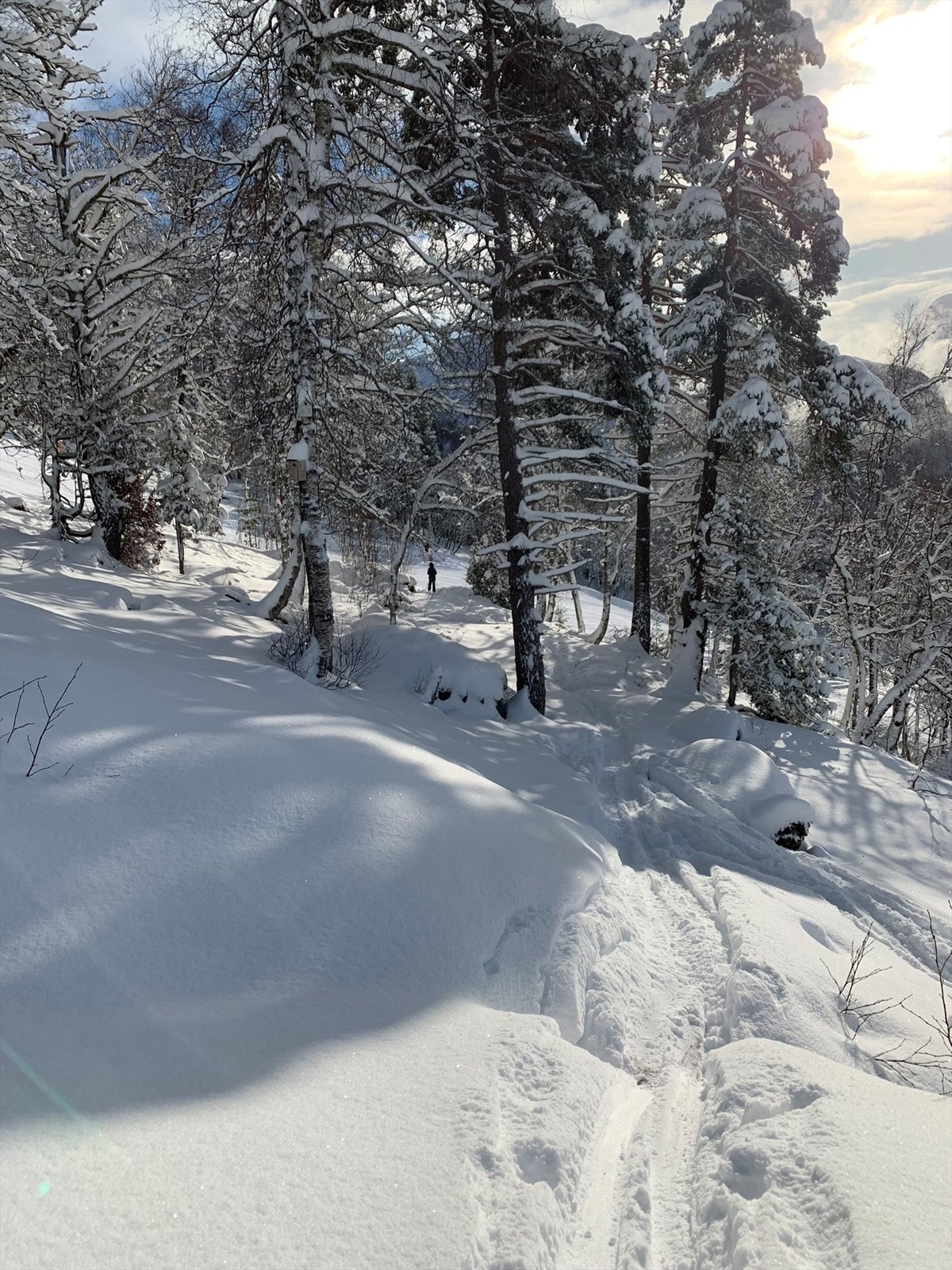Spenn på deg skia og skli rett bort til alpinbakken Galleribilde