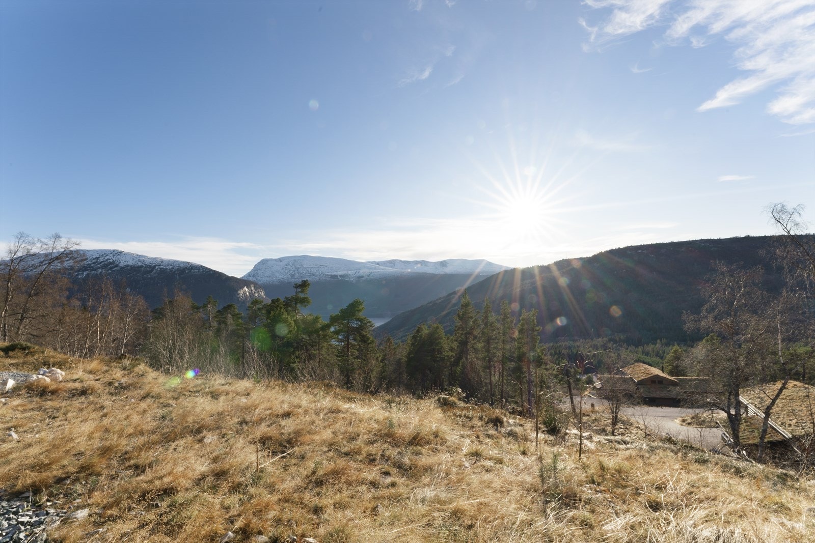 Friområde i front av boligen Galleribilde