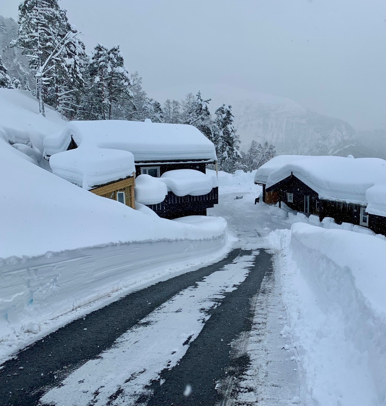Varmekabler i vegen ned til eigedomen Galleribilde