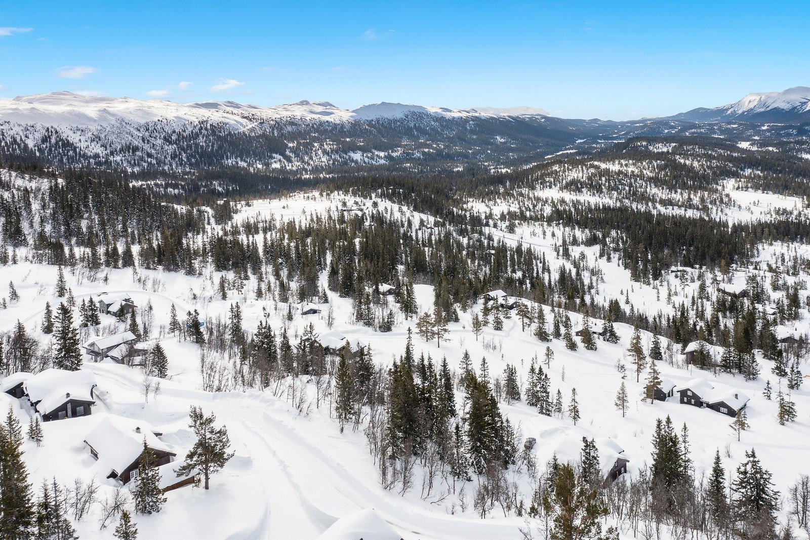 Fantastiske omgivelser. Galleribilde