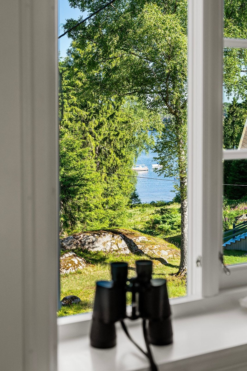 Mye spennende å følge med på rundt i naturen og i skjærgården. Galleribilde