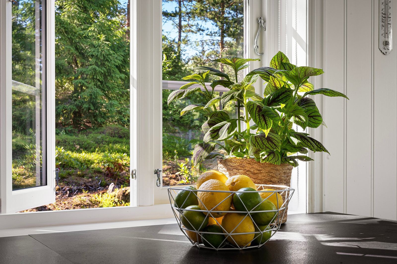 Spesielt flotte lysforhold med store vindusflater. Galleribilde