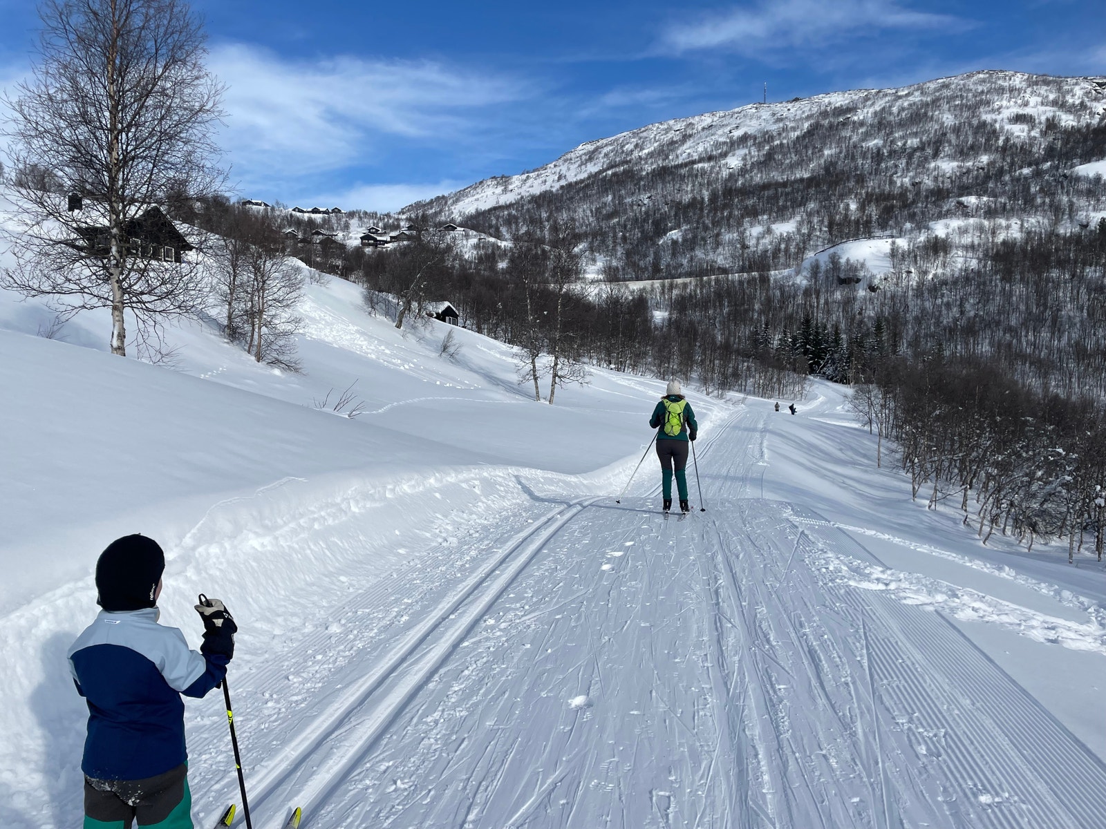 Skiløyper like rundt hyttefeltet Galleribilde