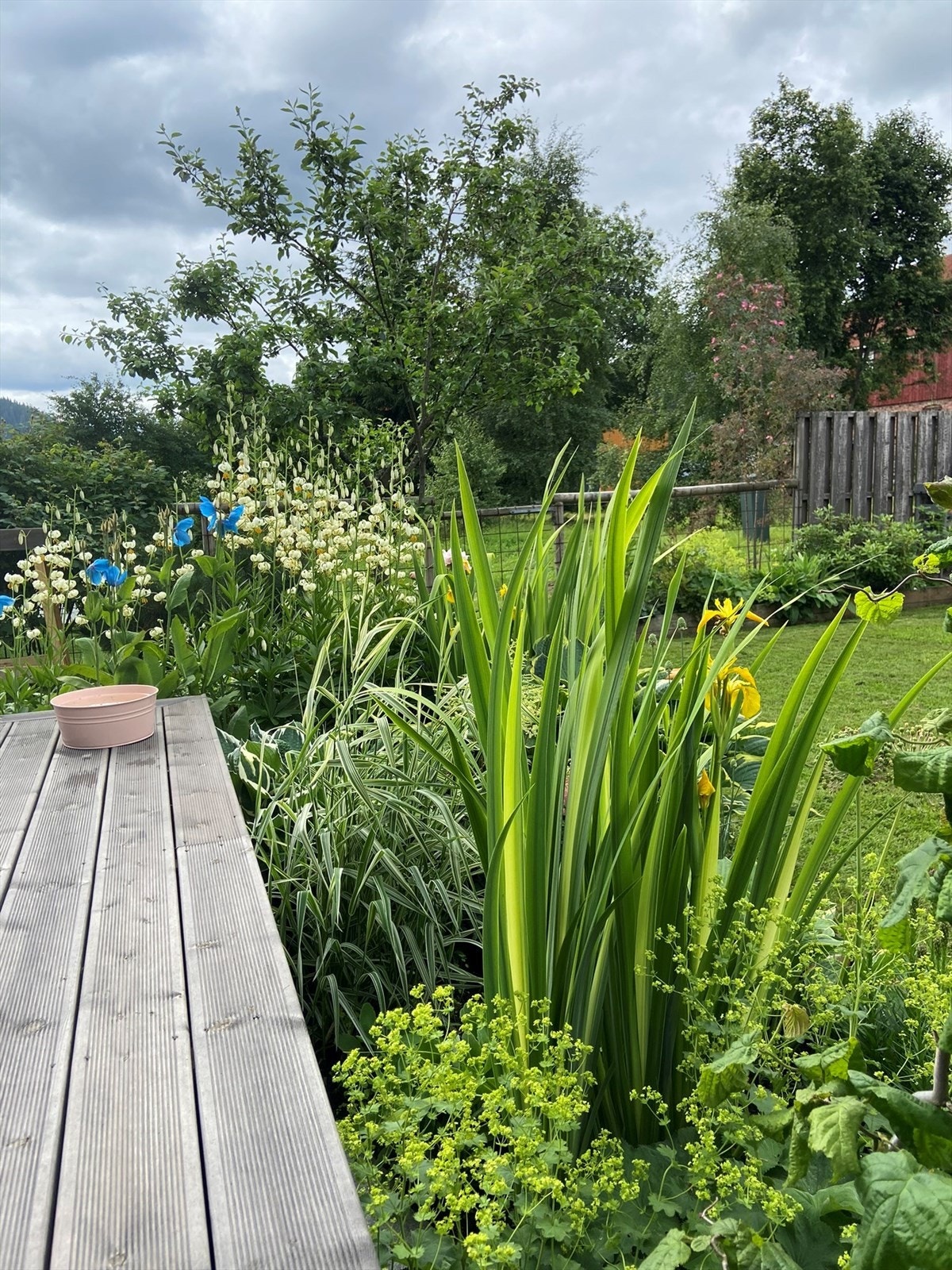 Sommerbilde tatt av eier.jpg Galleribilde