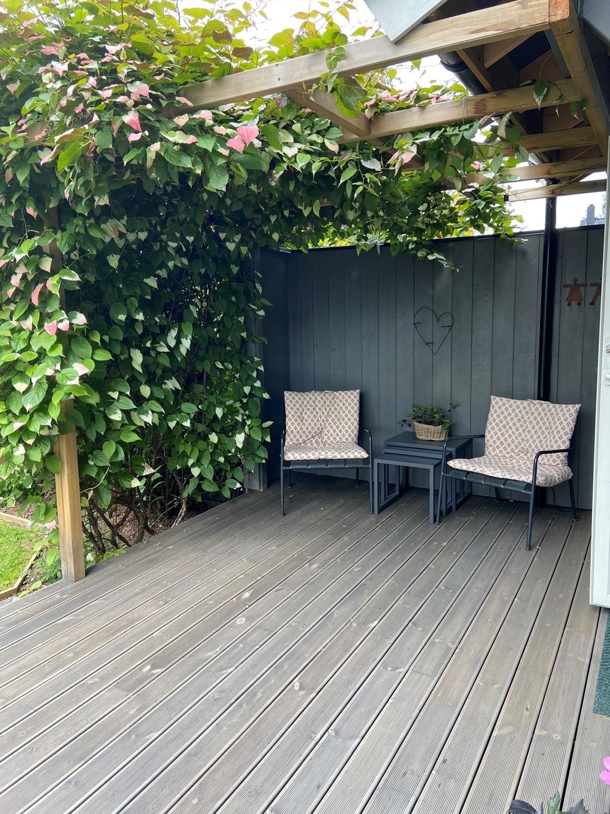 Sommerbilde tatt av eier.jpg Galleribilde