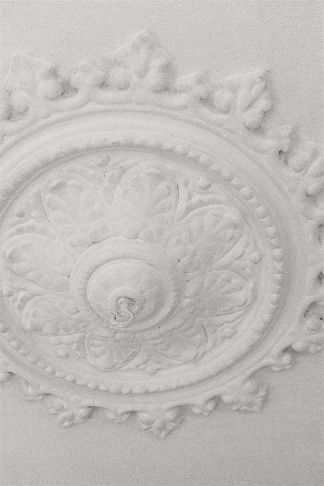 Klassiske detaljer med nydelig rosett og stukkatur. Galleribilde