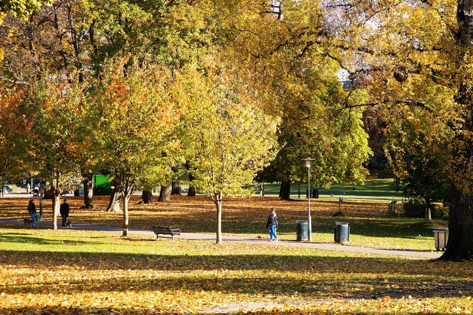 Områdebilde. Galleribilde
