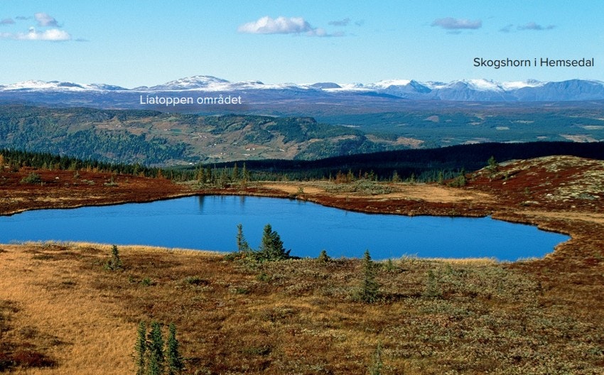 Omkringliggende fjell Galleribilde