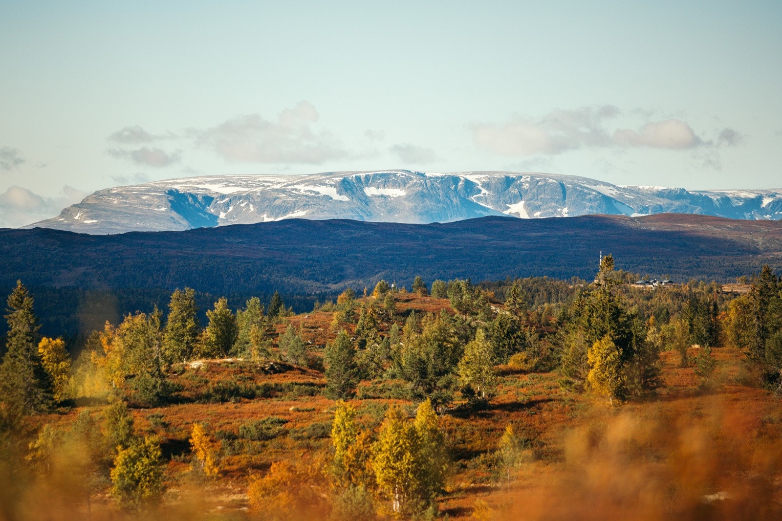 Opplev de vakre høstfargene i fjellet. Galleribilde