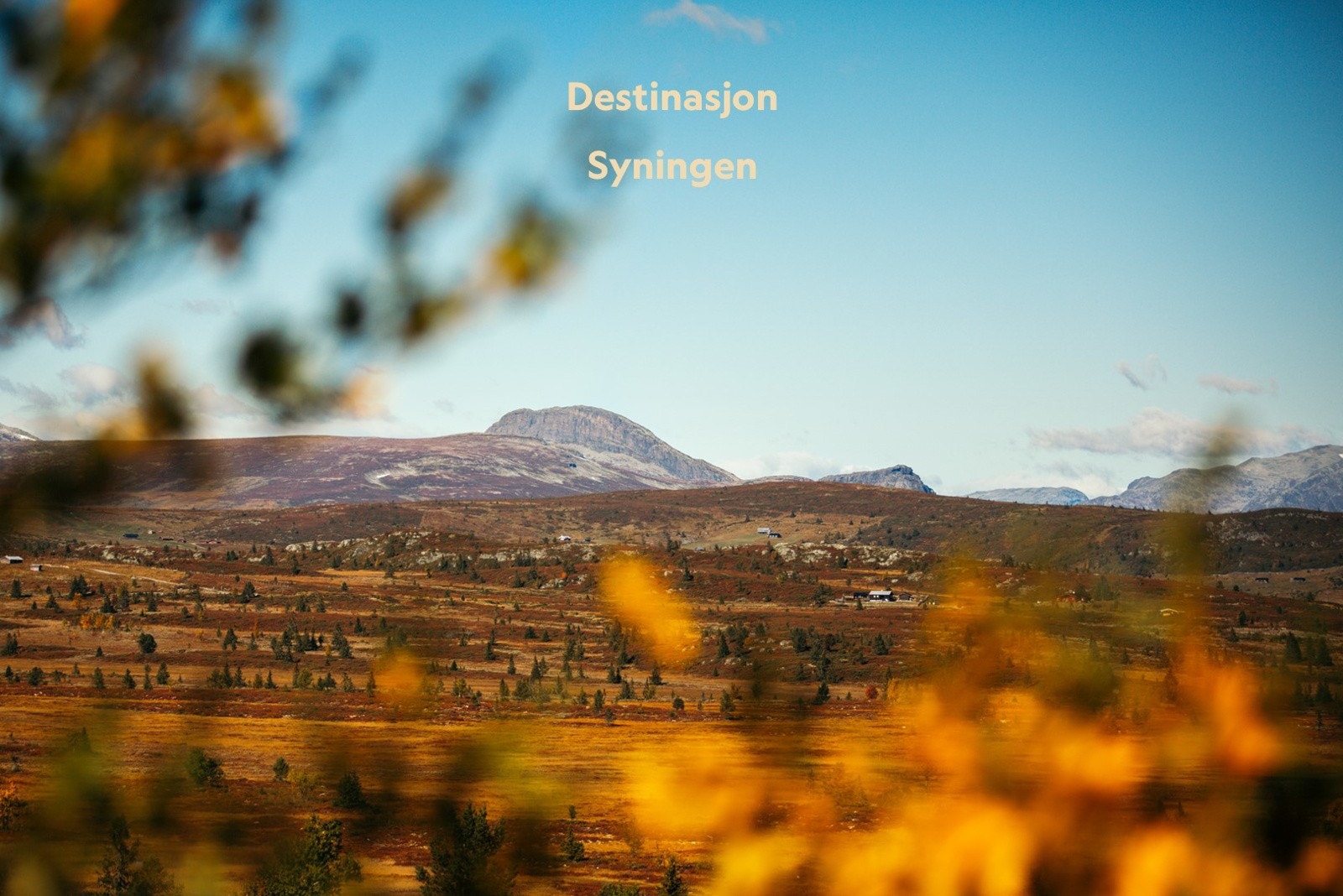 Destinasjon - Området byr på eventyrlige naturopplevelser, slående årstider og flotte aktiviteter. Galleribilde