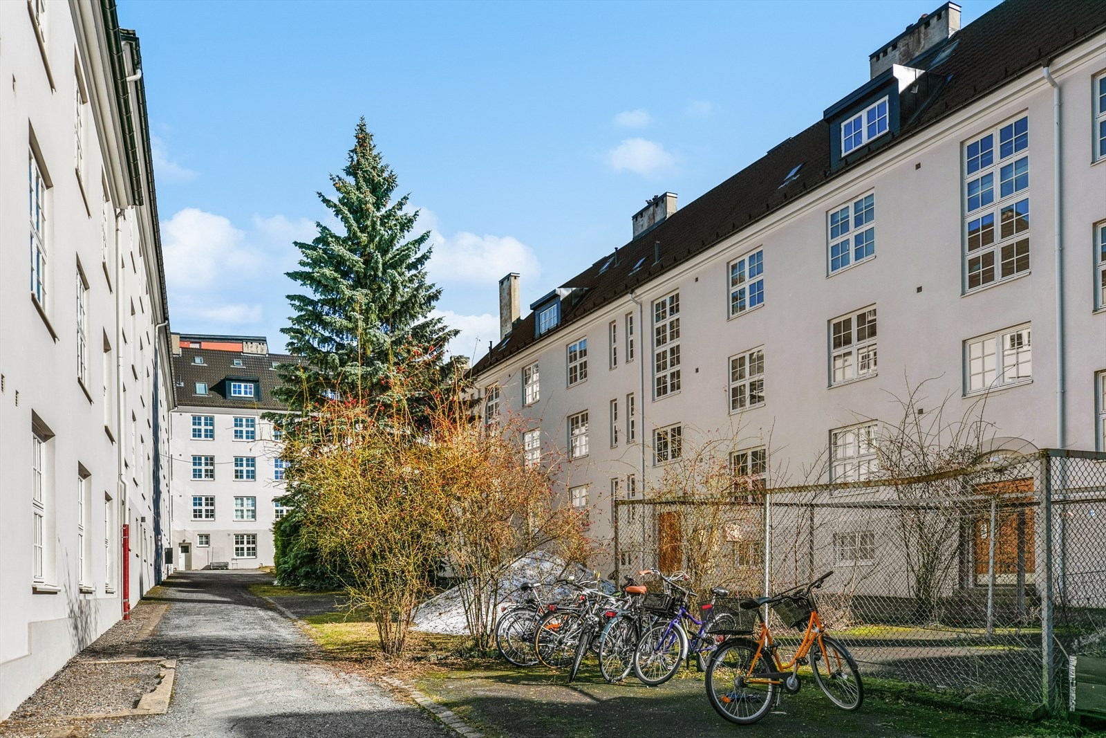 Hyggelig bakgård som er pent beplantet og har sykkelskur for beboerne Galleribilde