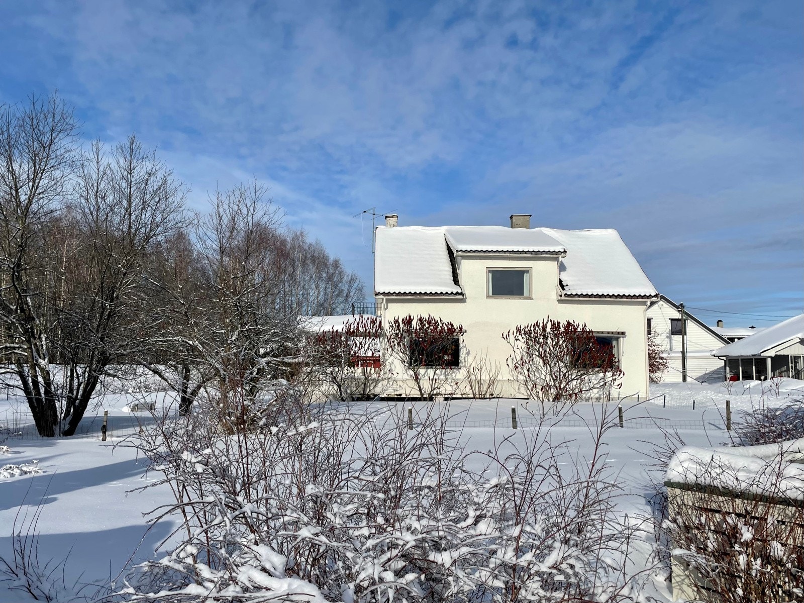IMG_0423 Galleribilde