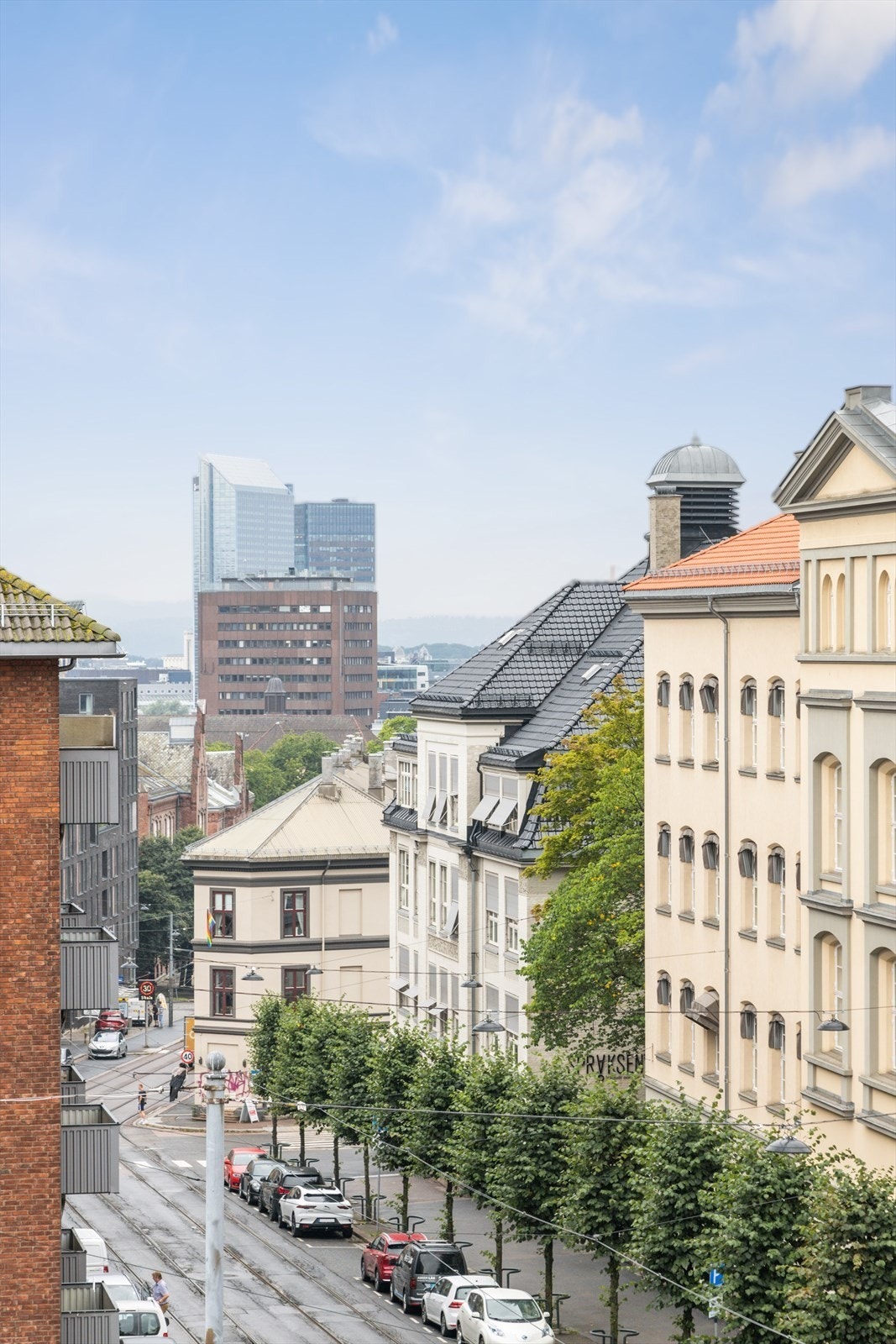 Utsiktsilde Galleribilde