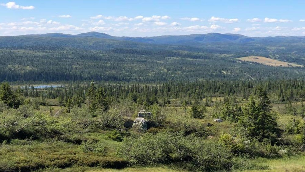 Utsikt mot vest fra tomtene. Galleribilde