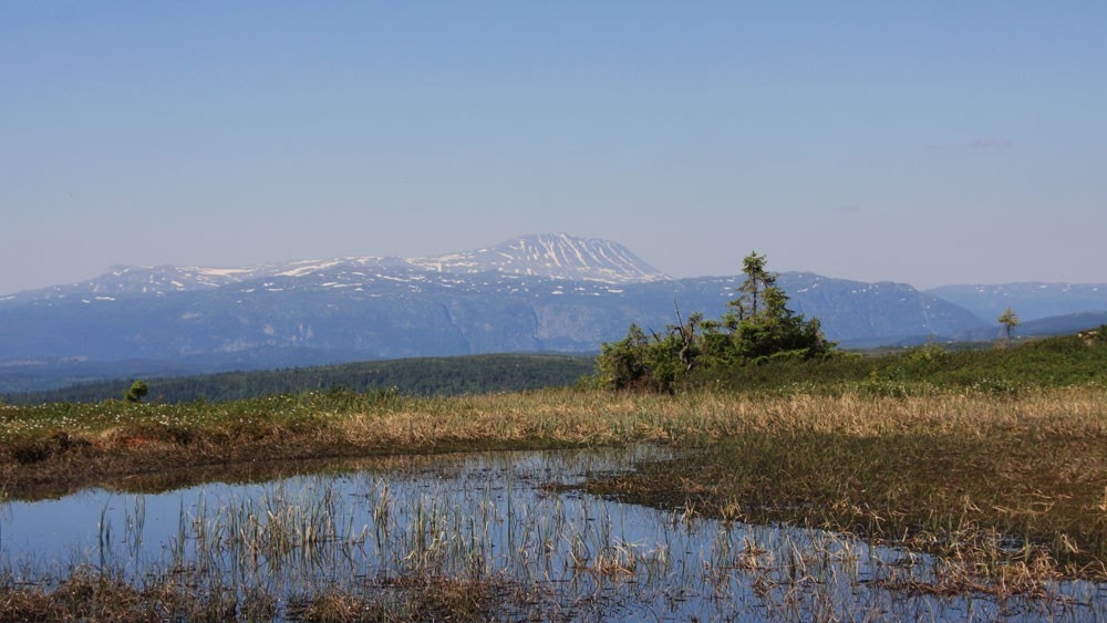 Midt i Nansens fjellrike, med turmuligheter i alle himmelretninger, sommer som vinter. Galleribilde