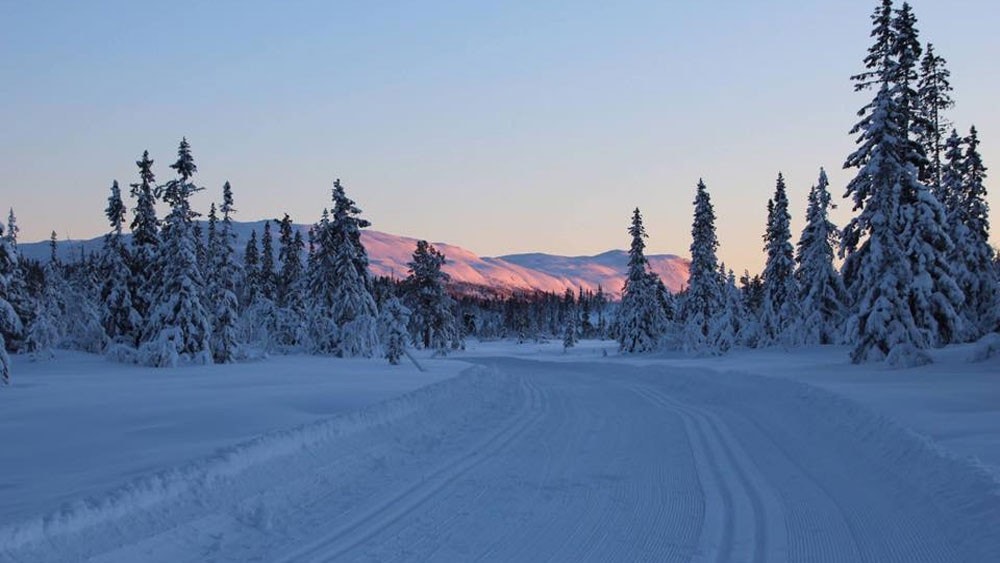 Vegglifjell er et snøsikkert område Galleribilde