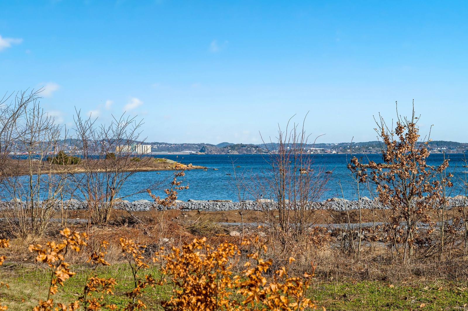 Utsikt. Galleribilde