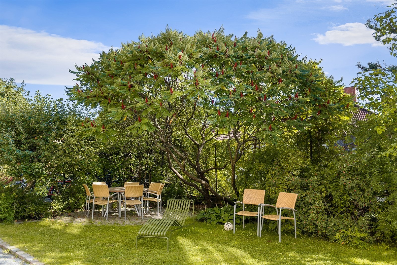 Borettslaget har egen hagegruppe som tar seg av bakgården. Galleribilde