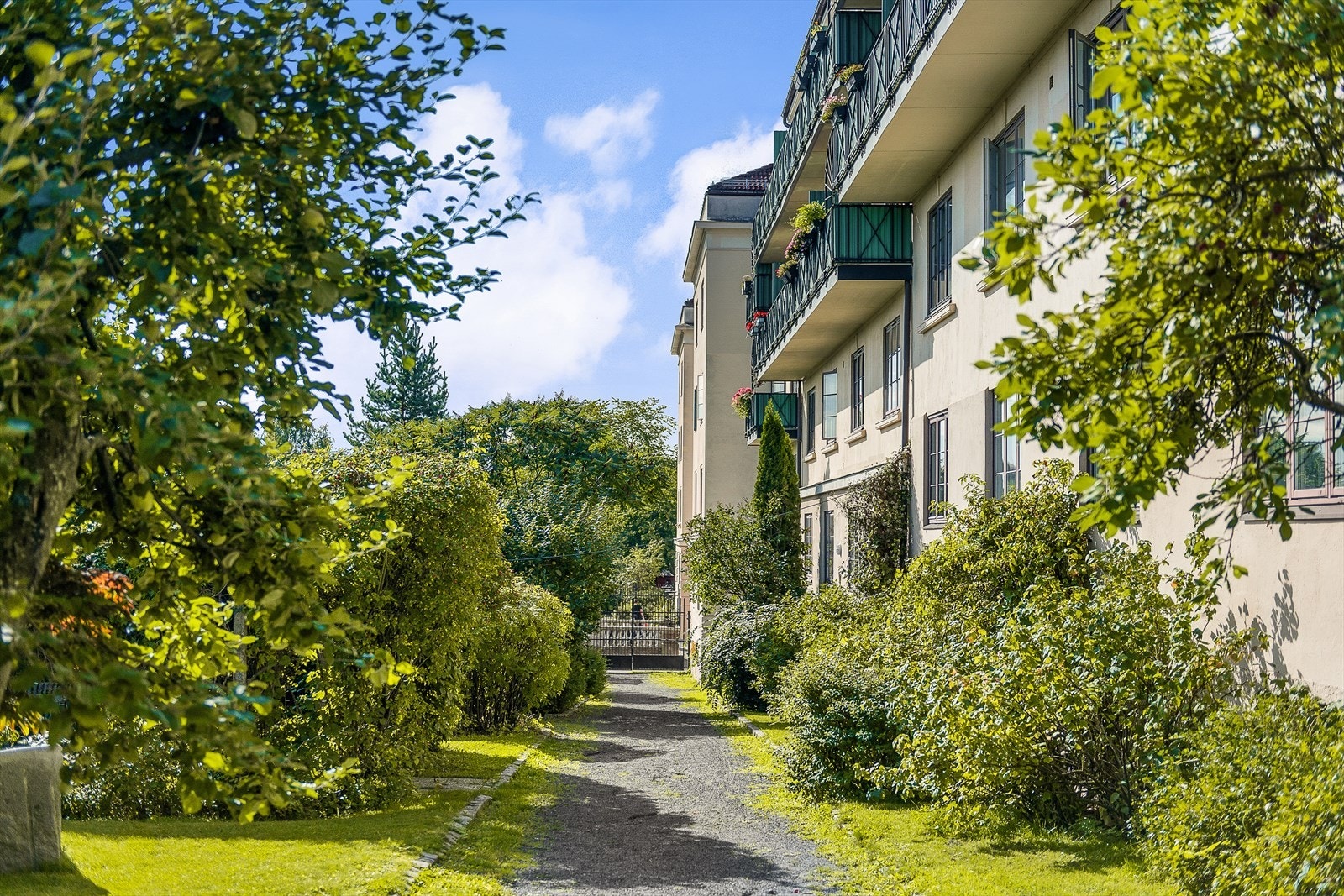Sommerstid er bakgården svært frodig og en oase til glede for alle beboerne. Galleribilde