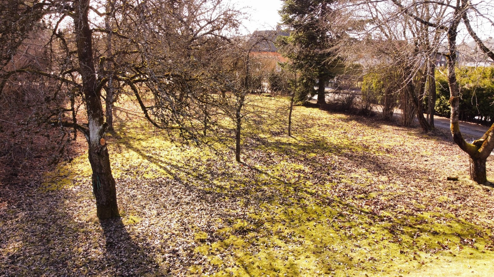 Flat praktisk tomt med enkel adkomst Galleribilde
