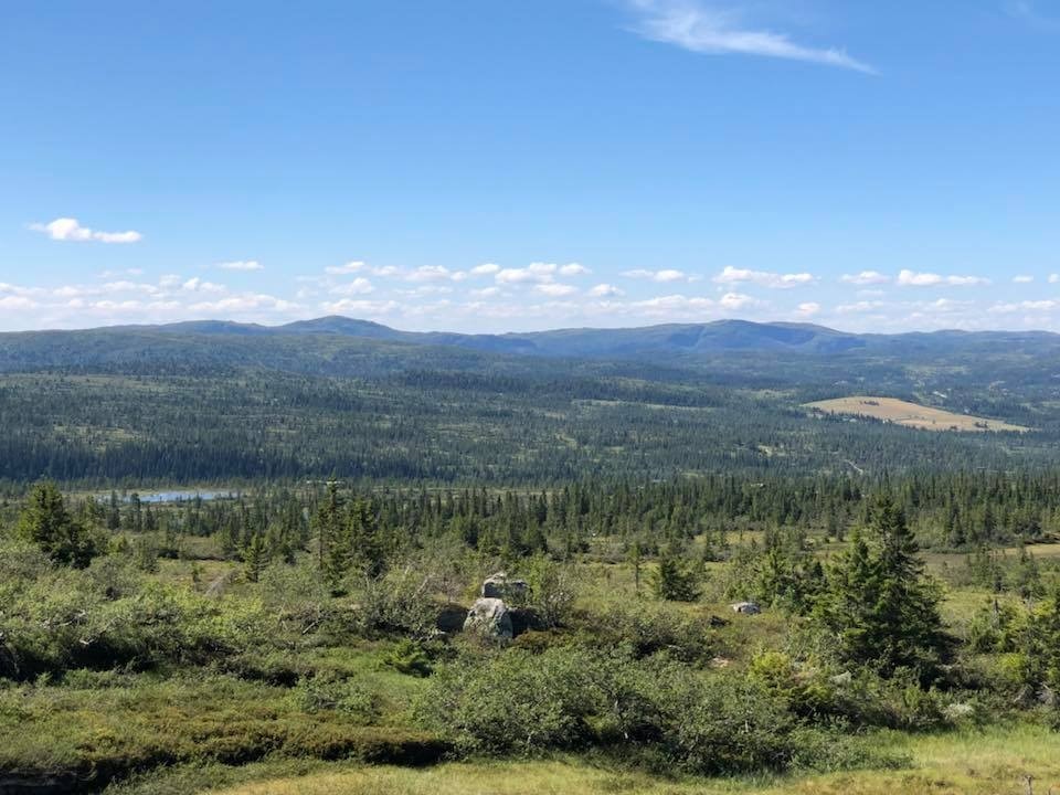 Utsikt mot vest Galleribilde