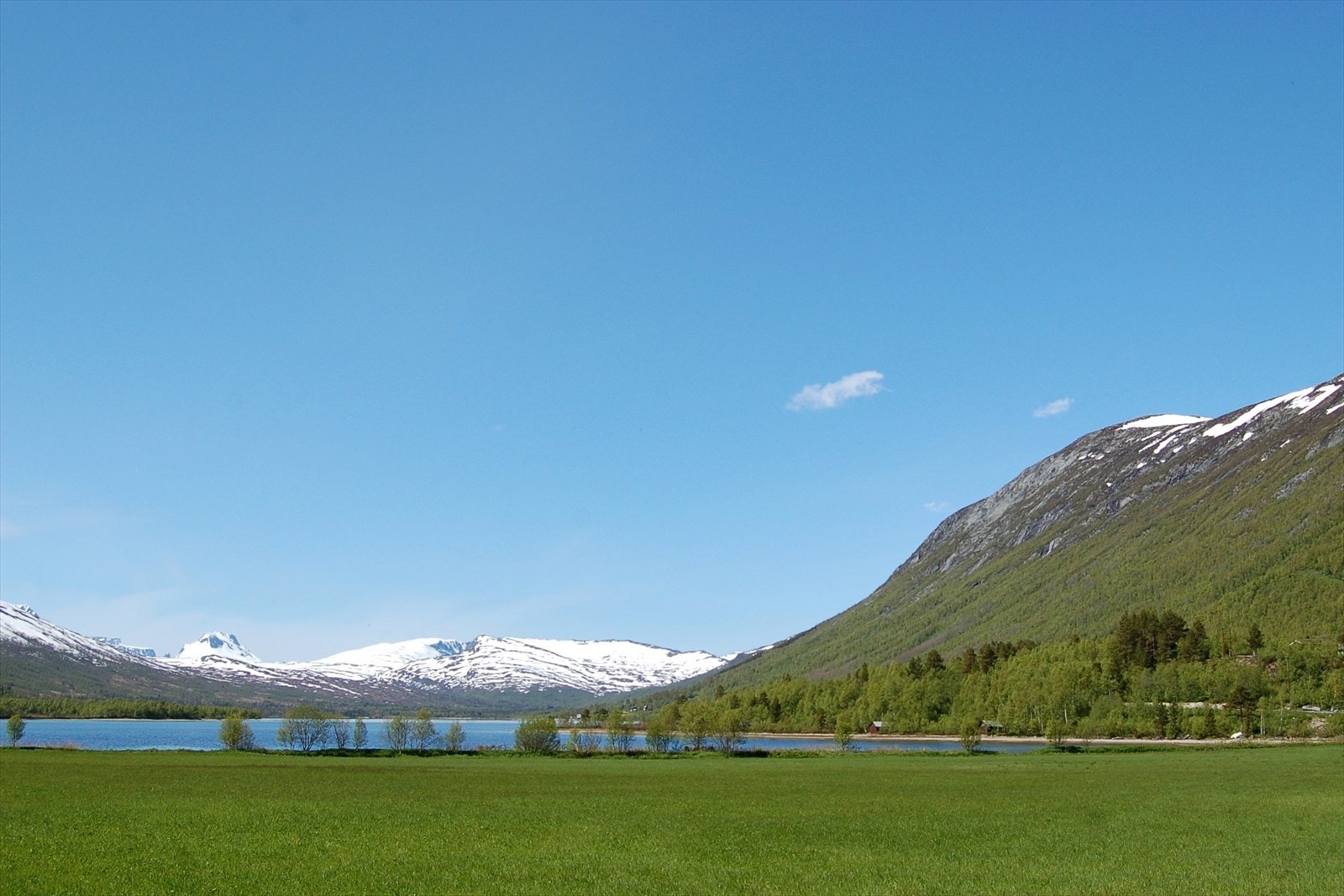 Sommer i Storlidalen Galleribilde
