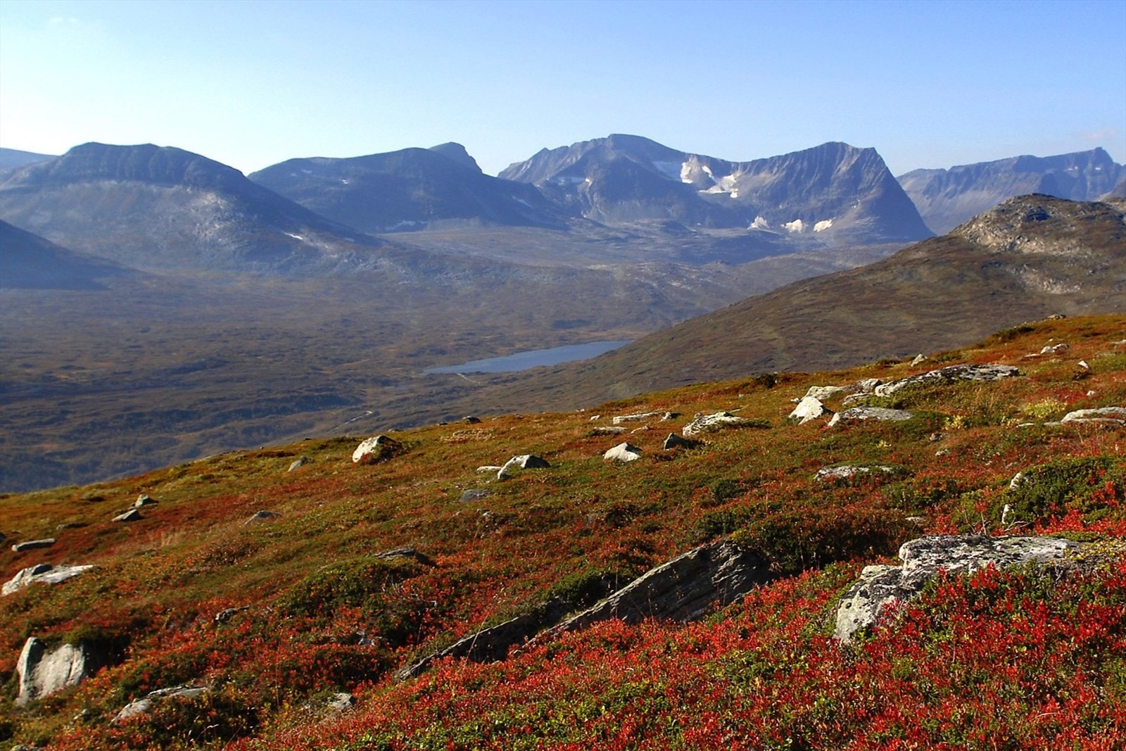 Høst i Storlidalen Galleribilde