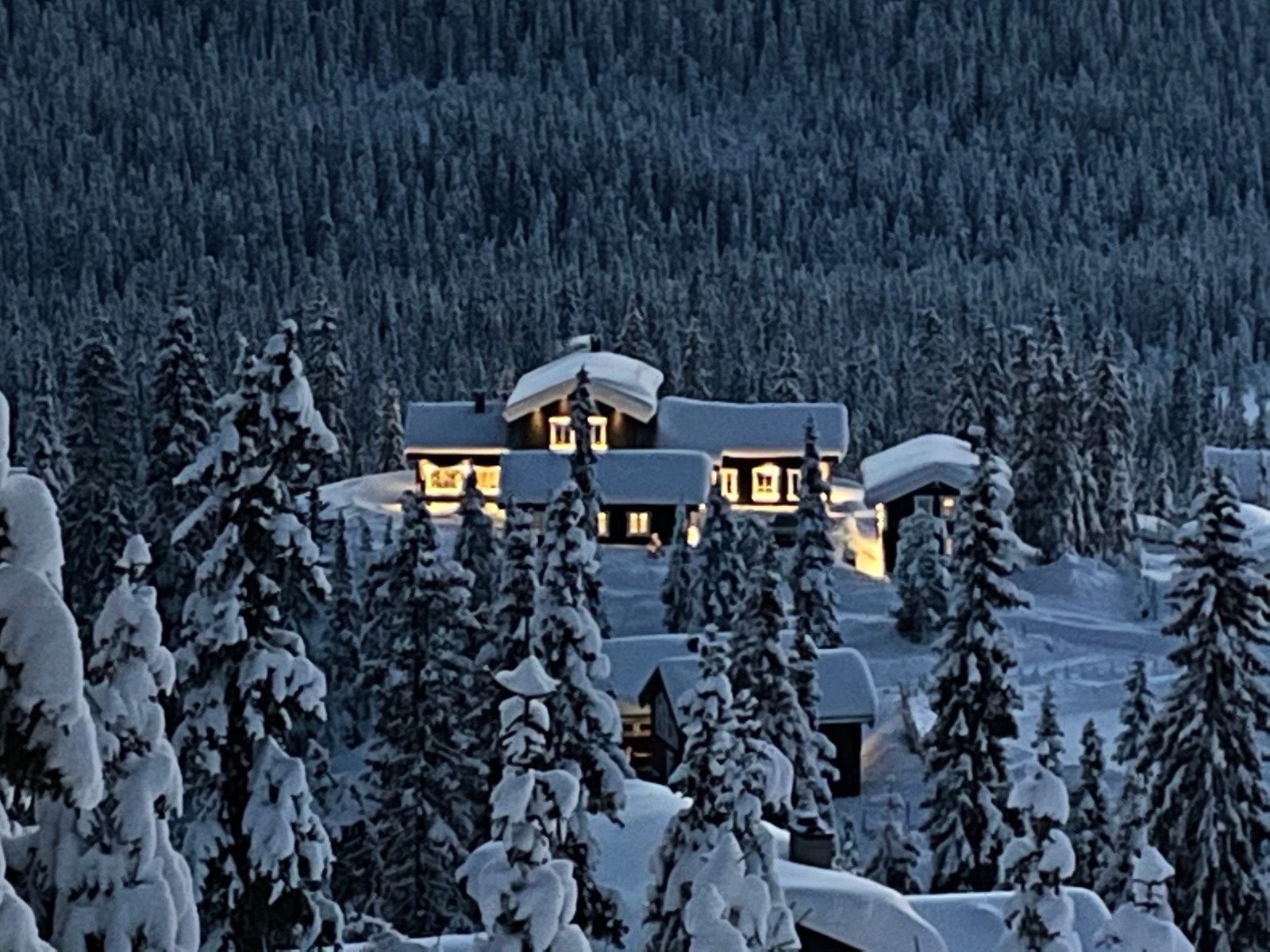 IMG_0038 Galleribilde