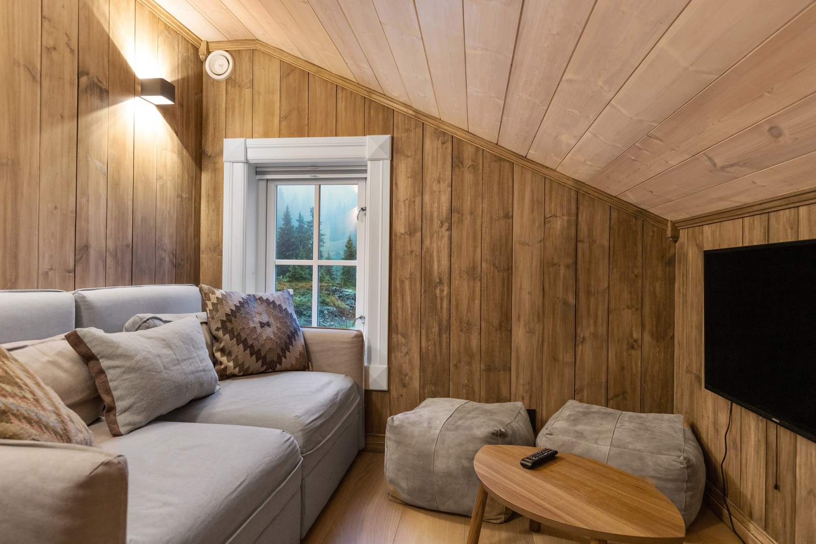 En koselig tv-stue i annekset. Galleribilde